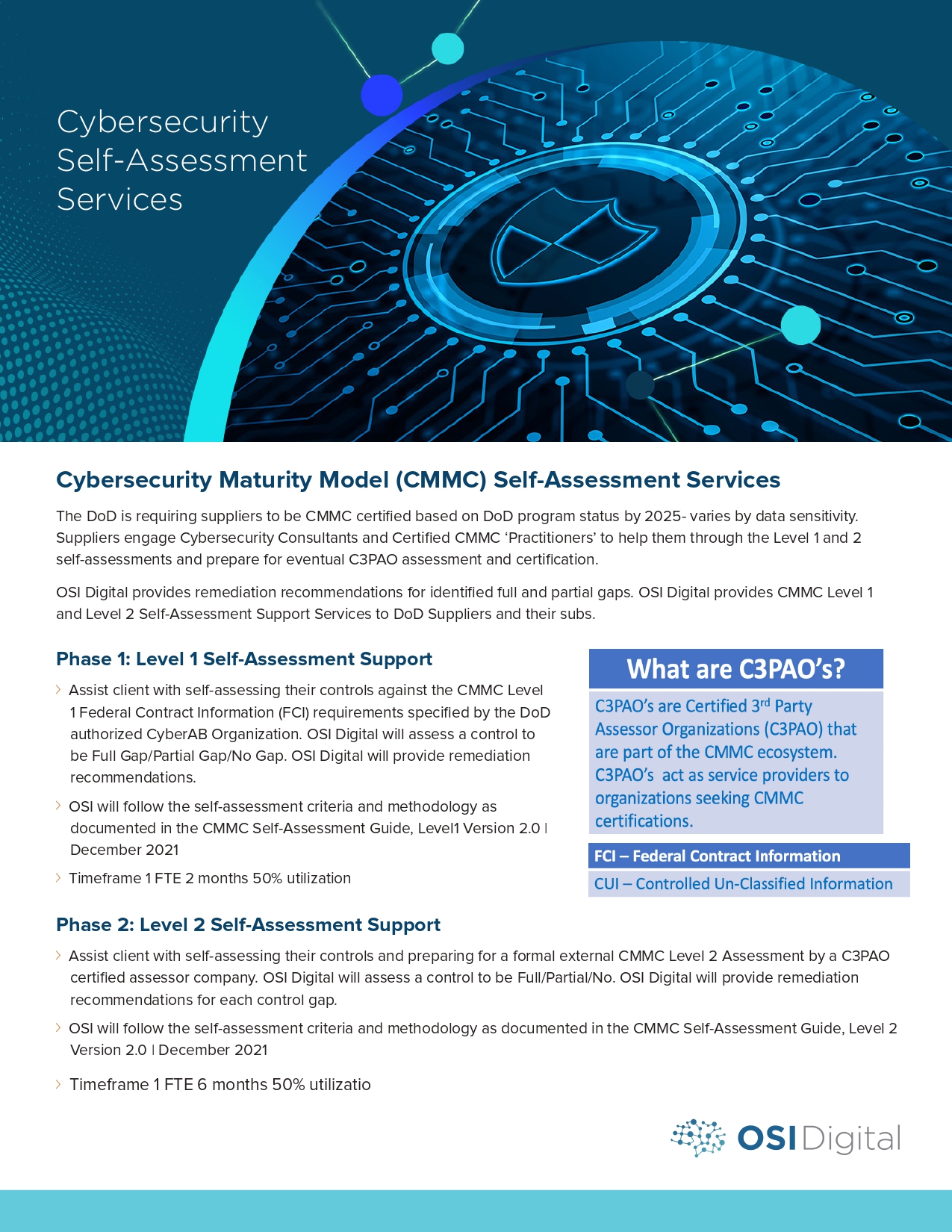 Data Sheet Cybersecurity Self Assessment Services To Strengthen Your